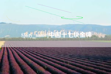 兴化中国十七块金牌