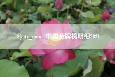 兴化中国金牌榜明细2021