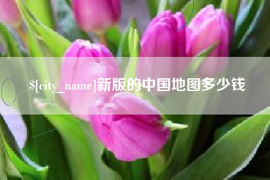兴化新版的中国地图多少钱