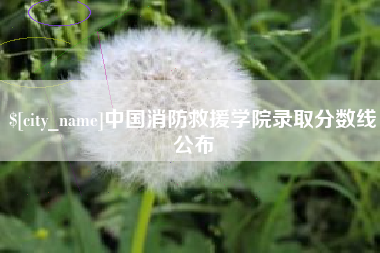 兴化中国消防救援学院录取分数线公布
