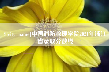 兴化中国消防救援学院2021年浙江省录取分数线