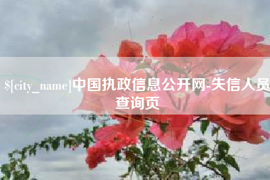 兴化中国执政信息公开网-失信人员查询页