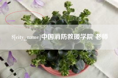 兴化中国消防救援学院 老师