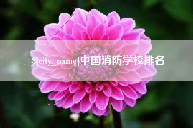 兴化中国消防学校排名