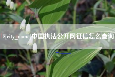 兴化中国执法公开网征信怎么查询