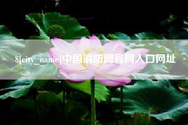 兴化中国消防网官网入口网址