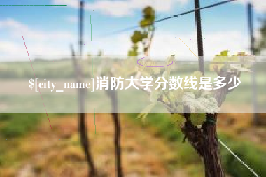 兴化消防大学分数线是多少