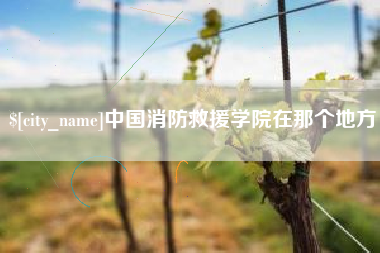 兴化中国消防救援学院在那个地方
