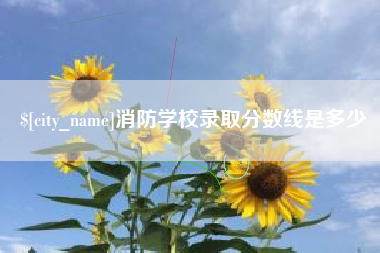 兴化消防学校录取分数线是多少