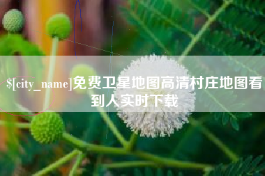 兴化免费卫星地图高清村庄地图看到人实时下载