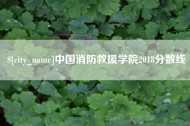 兴化中国消防救援学院2018分数线