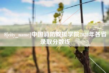 兴化中国消防救援学院2020年各省录取分数线