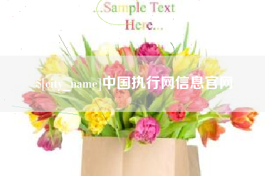 兴化中国执行网信息官网