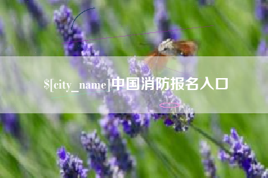 兴化中国消防报名入口