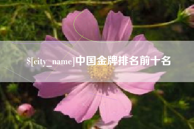 兴化中国金牌排名前十名