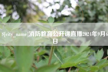 兴化消防教育公开课直播2024年9月6日