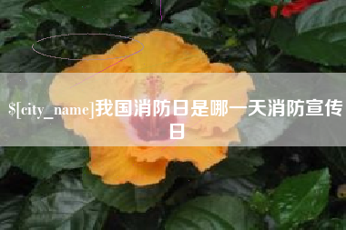 兴化我国消防日是哪一天消防宣传日