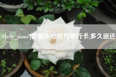 兴化诈骗冻结对方银行卡,多久返还