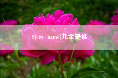 兴化九金是谁