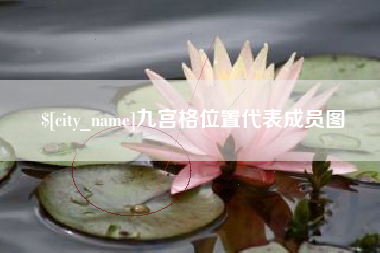 兴化九宫格位置代表成员图