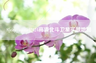 兴化2024高清北斗卫星实景地图