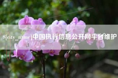 兴化中国执行信息公开网平台维护
