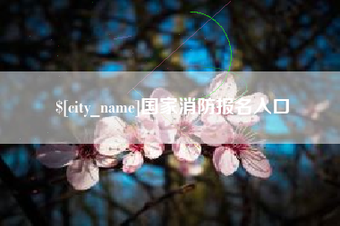 兴化国家消防报名入口