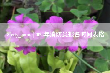 兴化2025年消防员报名时间表格