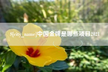 兴化中国金牌是哪些项目2021
