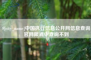 兴化中国执行信息公开网信息查询官网限消中查询不到