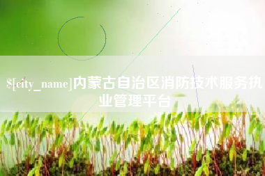 兴化内蒙古自治区消防技术服务执业管理平台