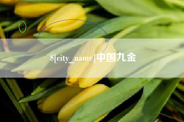 兴化中国九金