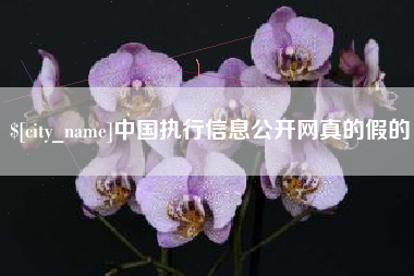 兴化中国执行信息公开网真的假的