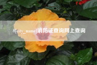 兴化消防证查询网上查询