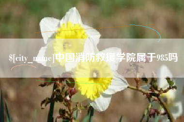 兴化中国消防救援学院属于985吗
