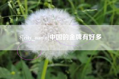 兴化中国的金牌有好多