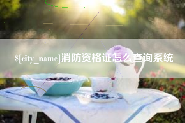 兴化消防资格证怎么查询系统