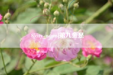 兴化第九金是