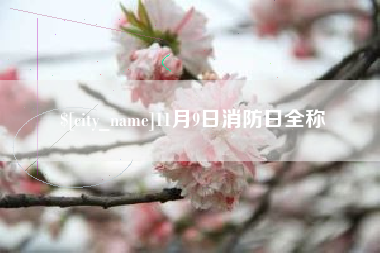 兴化11月9日消防日全称