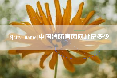 兴化中国消防官网网址是多少