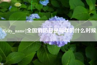 兴化全国消防日是每年的什么时候
