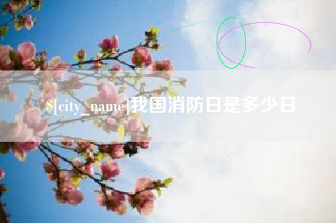 兴化我国消防日是多少日