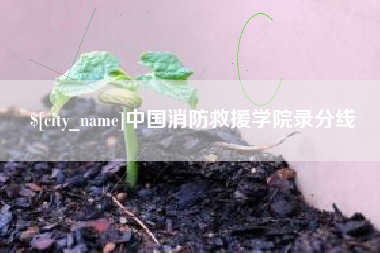 兴化中国消防救援学院录分线