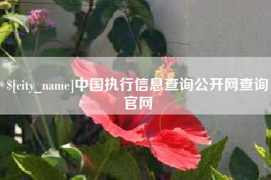 兴化中国执行信息查询公开网查询官网