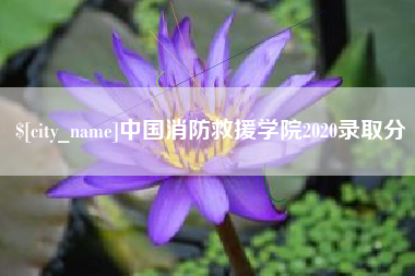 兴化中国消防救援学院2020录取分