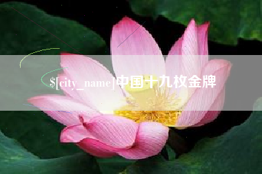 兴化中国十九枚金牌