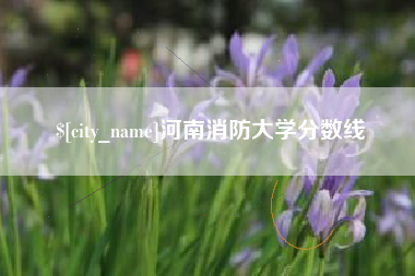 兴化河南消防大学分数线