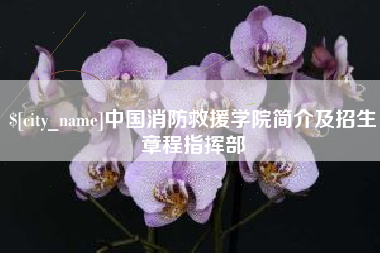 兴化中国消防救援学院简介及招生章程指挥部