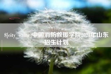兴化中国消防救援学院2021年山东招生计划