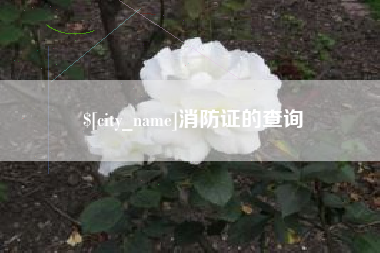 兴化消防证的查询